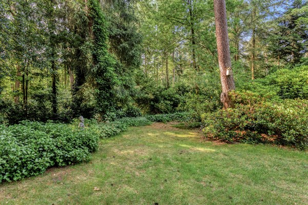 Medium property photo - Wolfhezerweg 120-76, 6874 AW Wolfheze